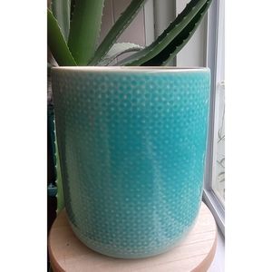 Teal glass planter or utensil holder